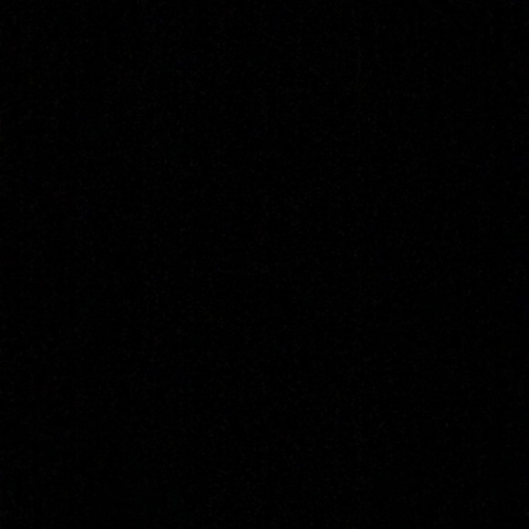 Meet your Posher, Reece - Picture 1 of 1